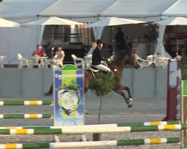 Reitturnier Grafenrheinfeld 2018