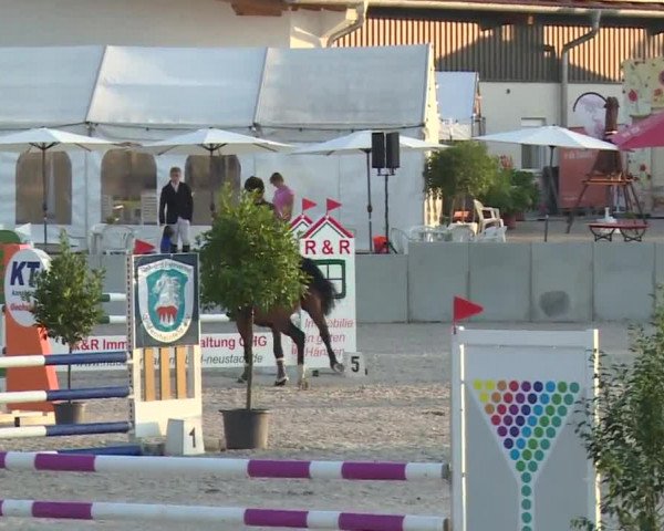 Reitturnier Grafenrheinfeld 2018