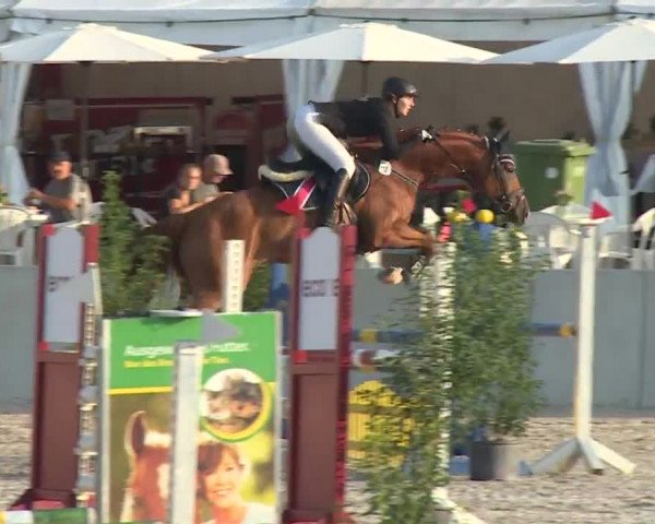 Reitturnier Grafenrheinfeld 2018