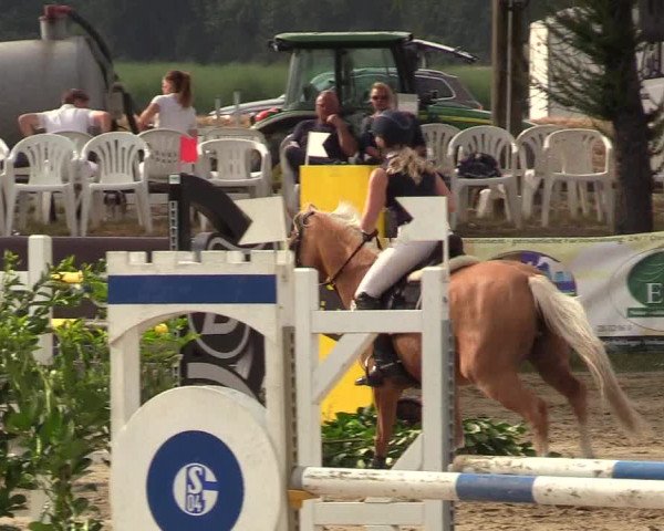 Waltroper Reitertage 2018