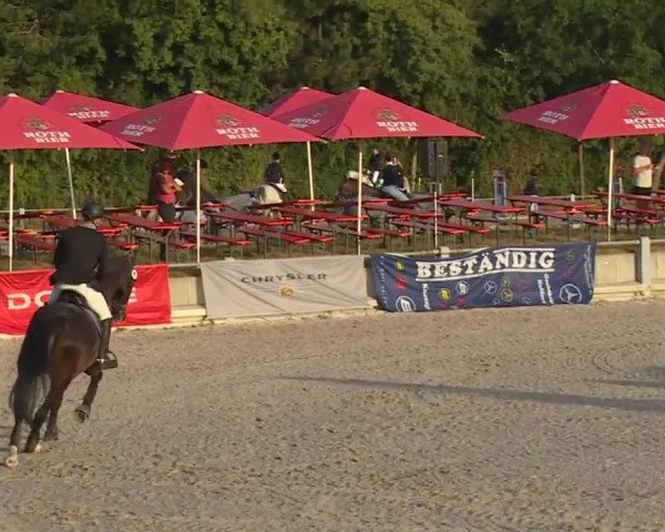 Reitturnier Grafenrheinfeld 2018