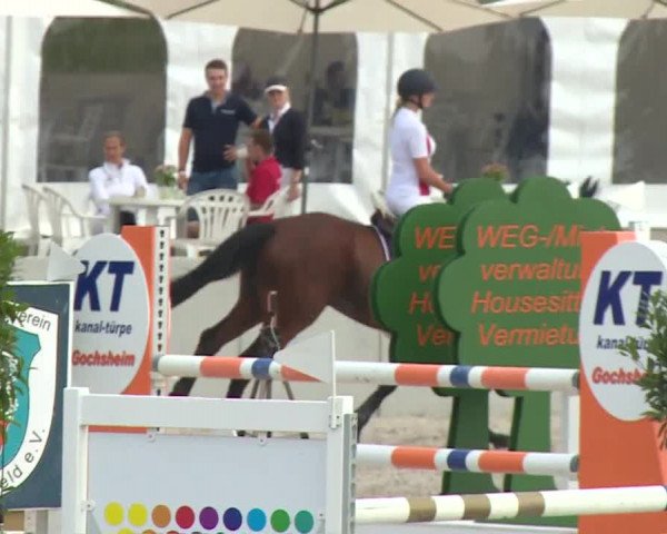 Reitturnier Grafenrheinfeld 2018