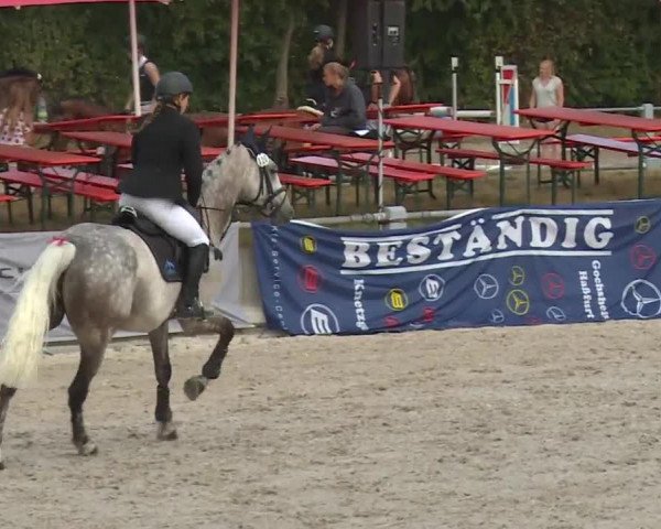 Reitturnier Grafenrheinfeld 2018