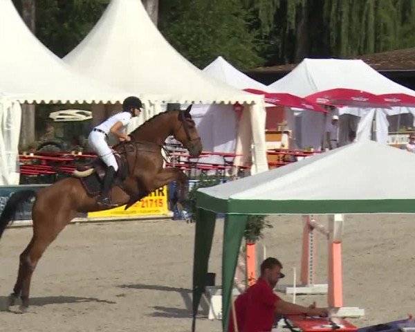 Reitturnier Grafenrheinfeld 2018