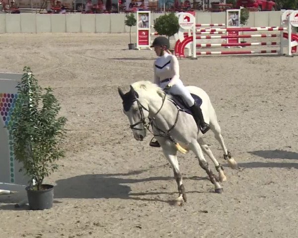 Reitturnier Grafenrheinfeld 2018