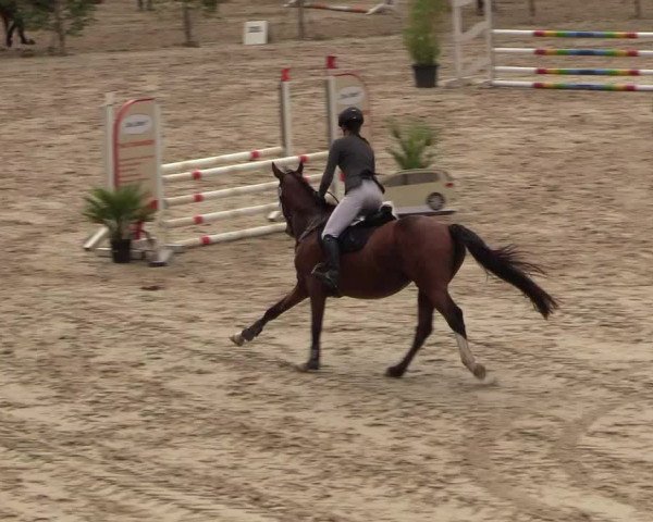 Reitturnier Neunkirchen-Salchendorf 2018