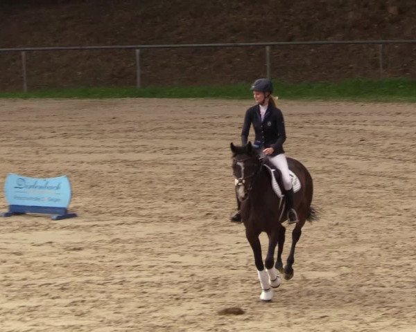 Reitturnier Neunkirchen-Salchendorf 2018