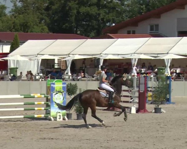 Reitturnier Grafenrheinfeld 2018