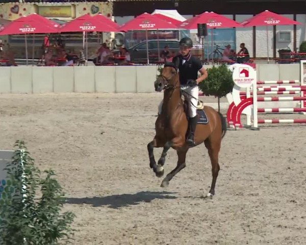 Reitturnier Grafenrheinfeld 2018
