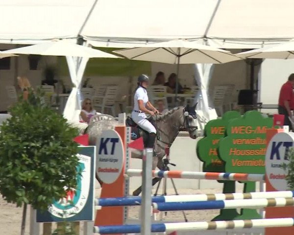 Reitturnier Grafenrheinfeld 2018