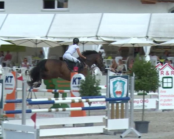 Reitturnier Grafenrheinfeld 2018
