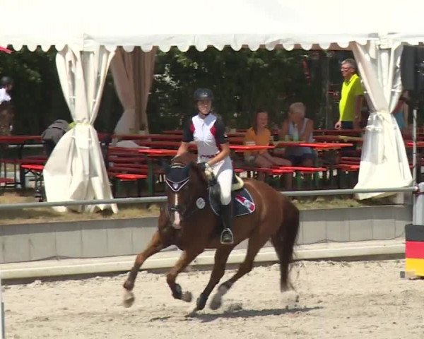 Reitturnier Grafenrheinfeld 2018