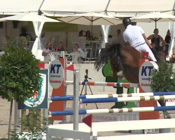 Reitturnier Grafenrheinfeld 2018