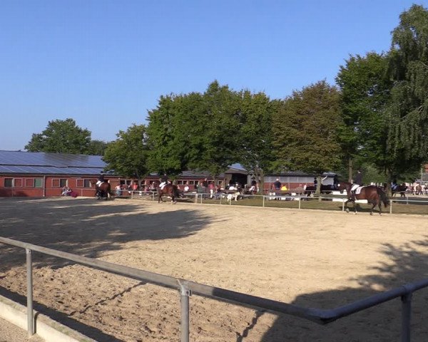 Reitturnier Ascheberg 2021