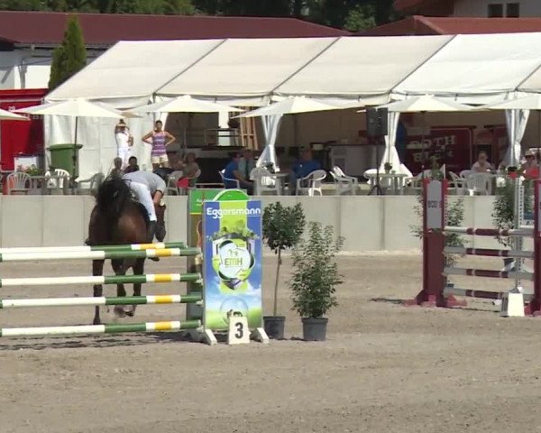 Reitturnier Grafenrheinfeld 2018