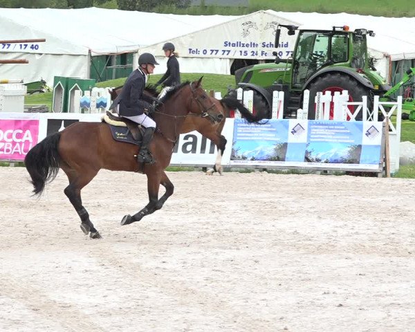 Concours Hippique Zuoz 2018