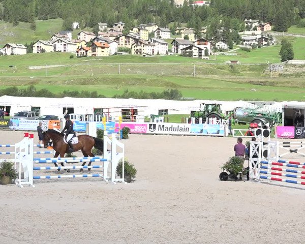 Concours Hippique Zuoz 2018