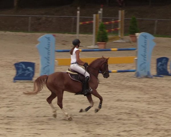 Reitturnier Neunkirchen-Salchendorf 2018