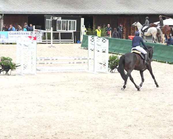 Concours Hippique Zuoz 2018