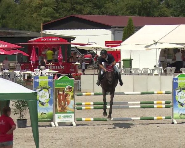 Reitturnier Grafenrheinfeld 2018
