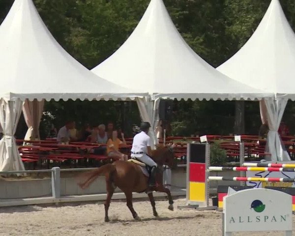 Reitturnier Grafenrheinfeld 2018