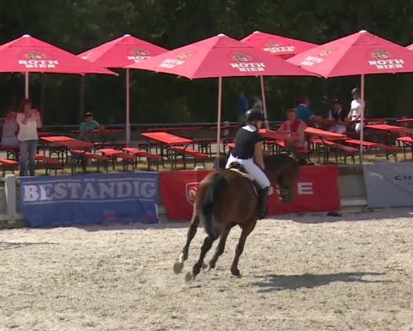 Reitturnier Grafenrheinfeld 2018