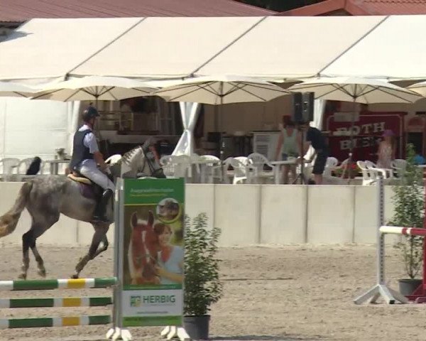 Reitturnier Grafenrheinfeld 2018