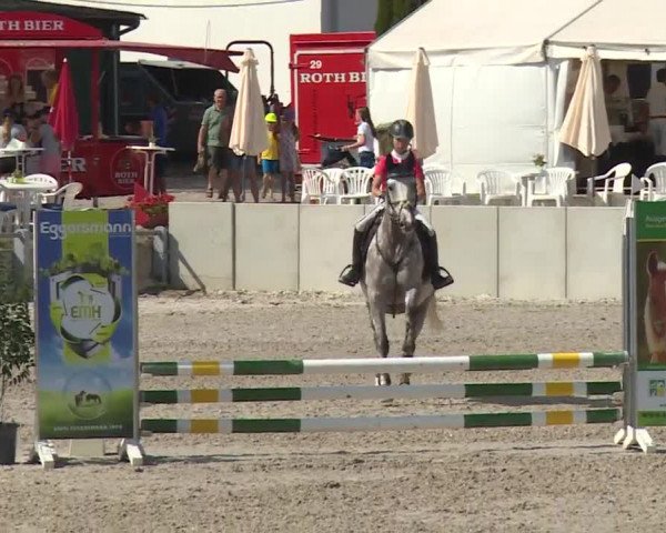 Reitturnier Grafenrheinfeld 2018