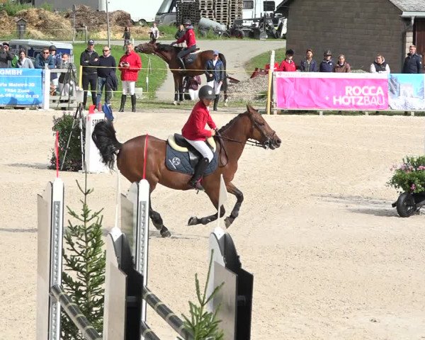 Concours Hippique Zuoz 2018