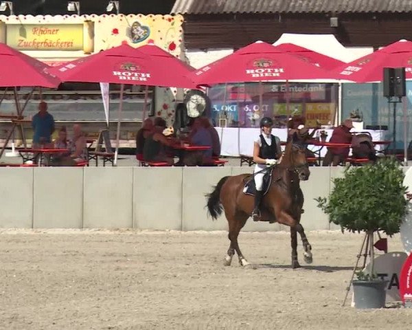 Reitturnier Grafenrheinfeld 2018