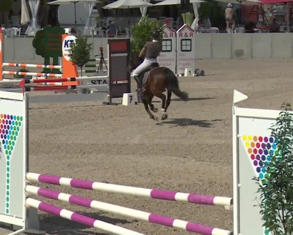 Reitturnier Grafenrheinfeld 2018