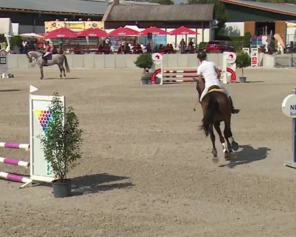 Reitturnier Grafenrheinfeld 2018