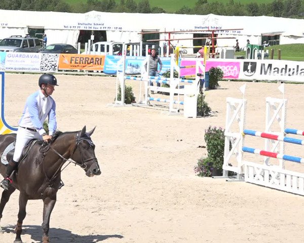 Concours Hippique Zuoz 2018