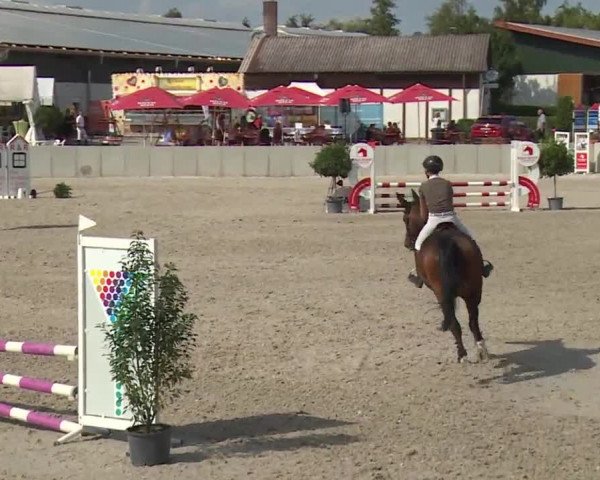 Reitturnier Grafenrheinfeld 2018