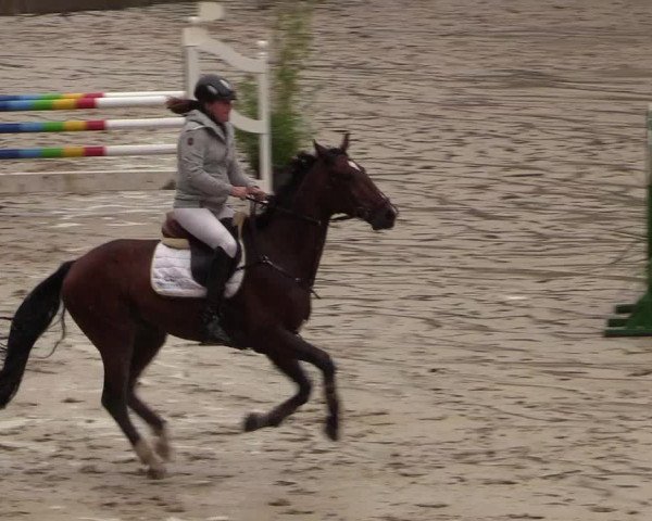 Reitturnier Neunkirchen-Salchendorf 2018