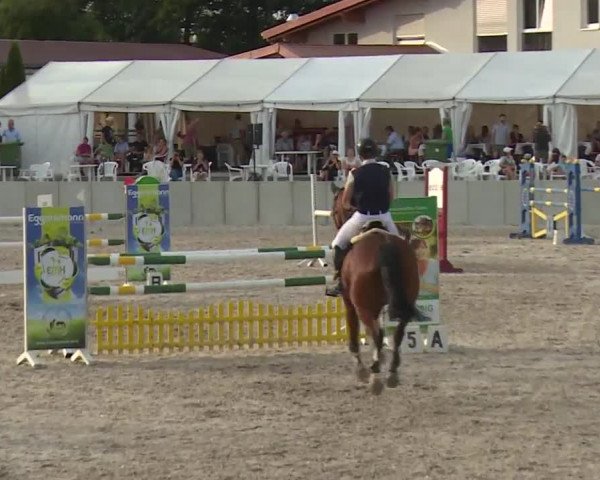 Reitturnier Grafenrheinfeld 2018