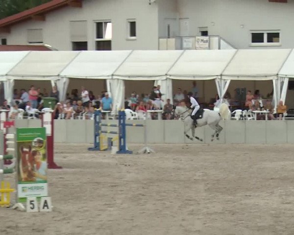 Reitturnier Grafenrheinfeld 2018