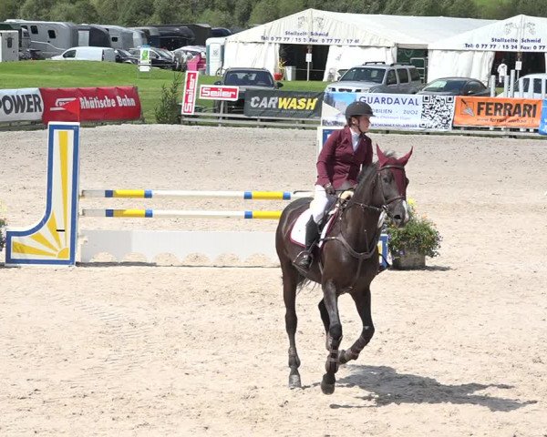 Concours Hippique Zuoz 2018