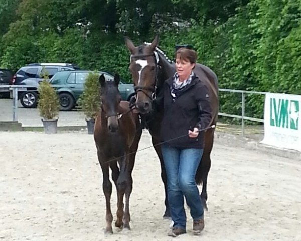 broodmare Rosi (Westphalian, 1998, from Rosenkavalier)
