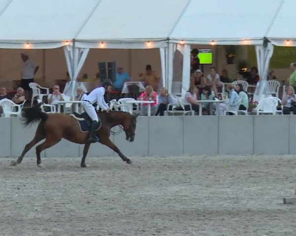 Reitturnier Grafenrheinfeld 2018
