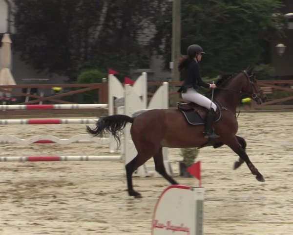 Equus Colonius - Reitanlage Brüse Köln 2021