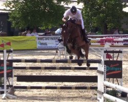 broodmare Stina 67 (Hanoverian, 2011, from Stolzenberg)