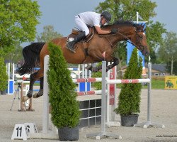 broodmare Chaya M (Württemberger, 2010, from Canoso)