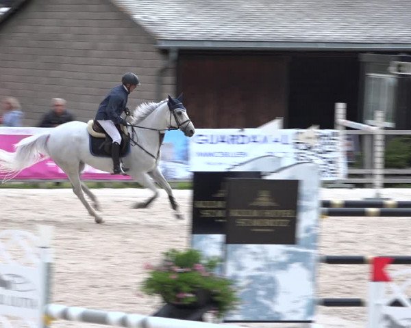 Concours Hippique Zuoz 2018