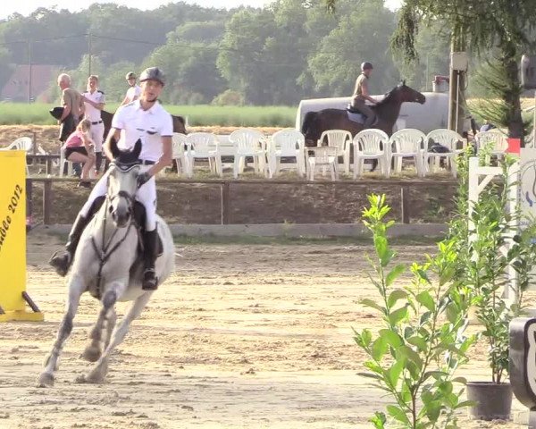 Waltroper Reitertage 2018