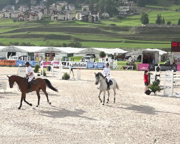 Concours Hippique Zuoz 2018