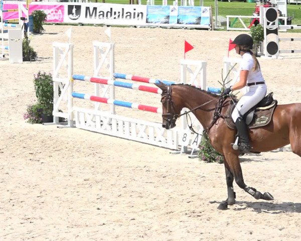 Concours Hippique Zuoz 2018