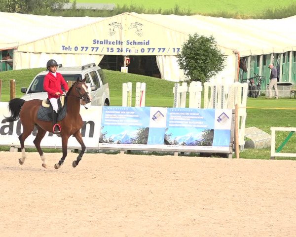 Concours Hippique Zuoz 2018