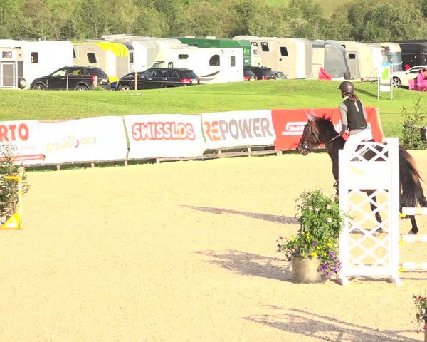 Concours Hippique Zuoz 2018