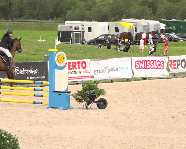 Concours Hippique Zuoz 2018
